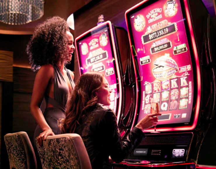 5542 com bet